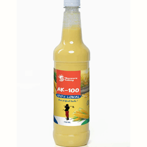 Ak-100 Ayisyen